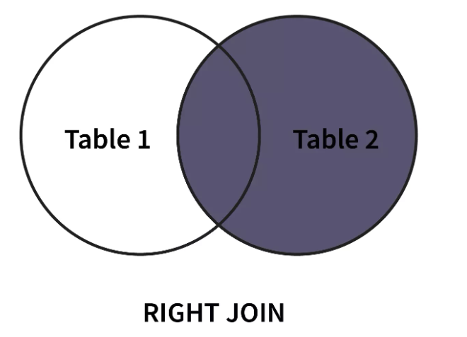 Screenshot 2024-02-10 at 1.03.45 PM